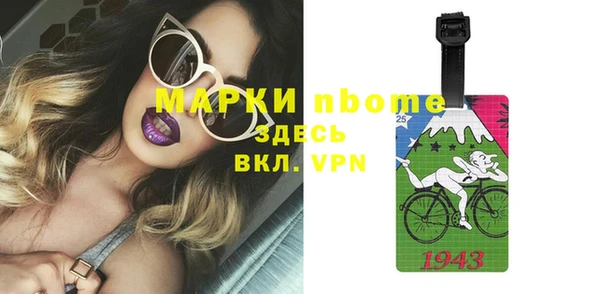 шишки Арсеньев