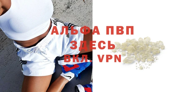 шишки Арсеньев