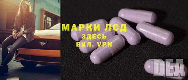 шишки Арсеньев