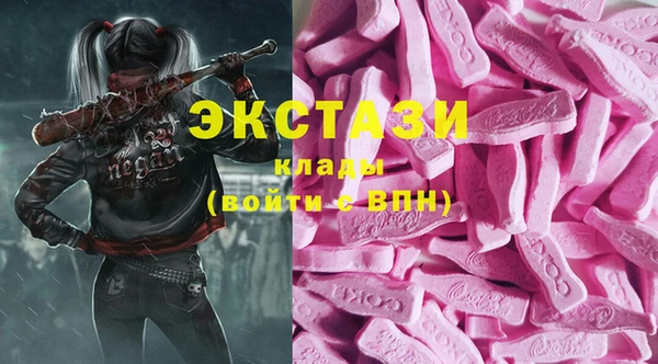 шишки Арсеньев