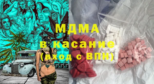 шишки Арсеньев