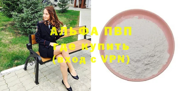 шишки Арсеньев