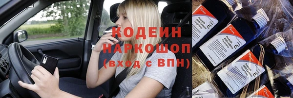 шишки Арсеньев