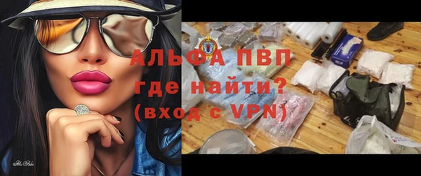 шишки Арсеньев