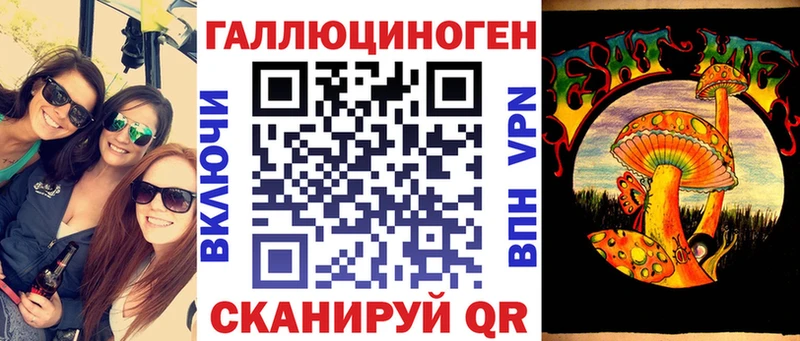 Псилоцибиновые грибы Psilocybe  Купить  Строитель 